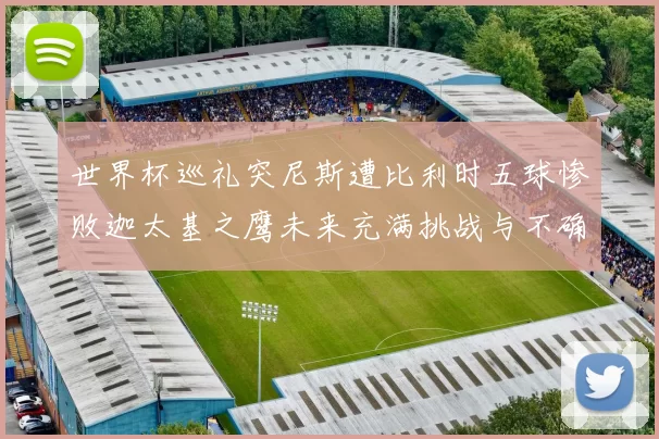 世界杯巡礼突尼斯遭比利时五球惨败迦太基之鹰未来充满挑战与不确定性